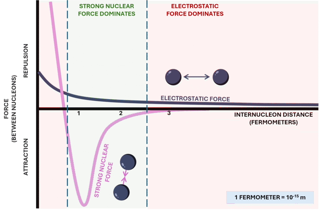 Graph showing strong nuclear force and electrostatic repulsion between nucleons as a function of separation distance.